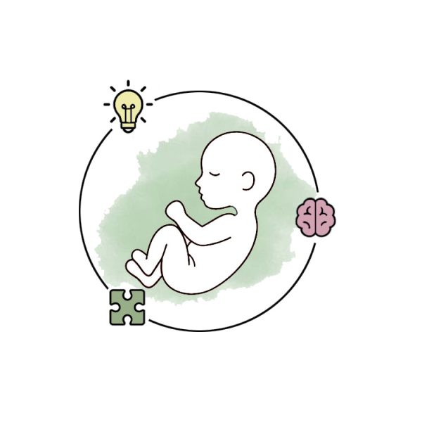 دوره هوش جنین ویت مامز