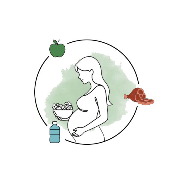 تغذیه در دوران بارداری